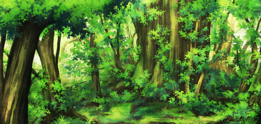 aoha_(twintail) branch bush dappled_sunlight forest grass moss nature no_humans original plant scenery sunlight tree tree_shade