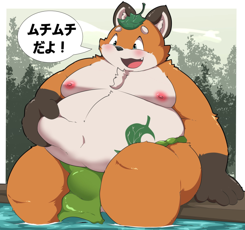 2023 anthro asian_clothing belly big_belly blush bulge canid canine clothing east_asian_clothing fox fundoshi green_clothing green_fundoshi green_underwear hi_res japanese_clothing japanese_text kemono kusosensei leaf male mammal moobs nipples overweight overweight_male sitting solo text underwear