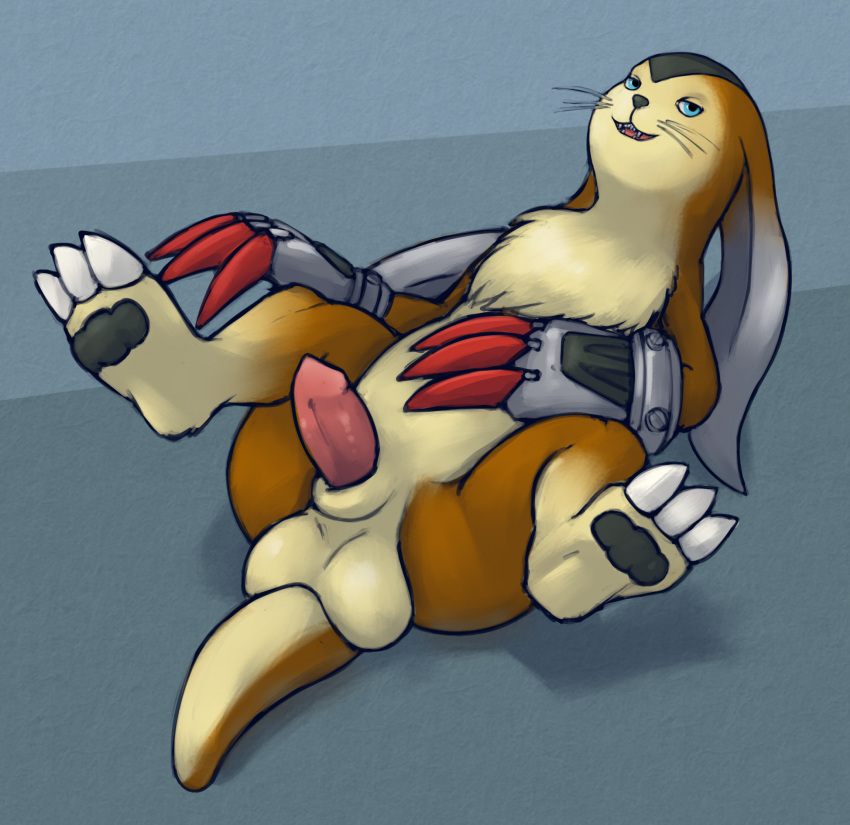 animal_genitalia anthro balls bandai_namco blue_eyes brown_body brown_fur claws digimon digimon_(species) erection fur genitals gmad hi_res looking_at_viewer lying male on_back pawpads penis prairiemon presenting sheath solo spread_legs spreading whiskers