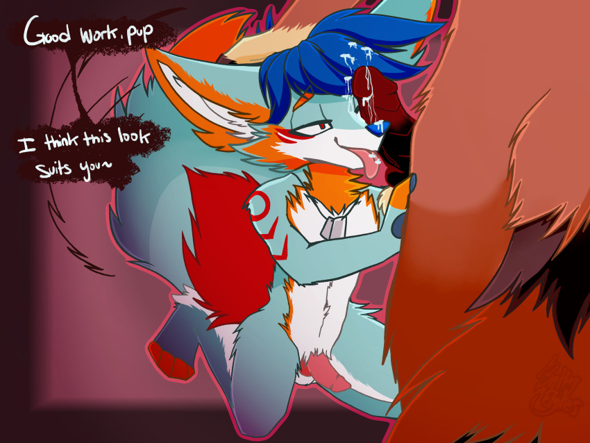 anthro arctic_wolf battybytes bedroom_eyes blue_hair bodily_fluids brown_body brown_fur canid canine canis cum cum_on_face cum_on_tongue dialogue dog_tags duo falcon_woodwere fur genital_fluids genitals hair hand_on_head hands_on_legs hands_on_thighs hi_res khane_(character) kneeling lemur male male/male mammal multicolored_body multicolored_fur narrowed_eyes oral penile penis penis_on_face penis_worship primate red_eyes seductive strepsirrhine tongue wolf