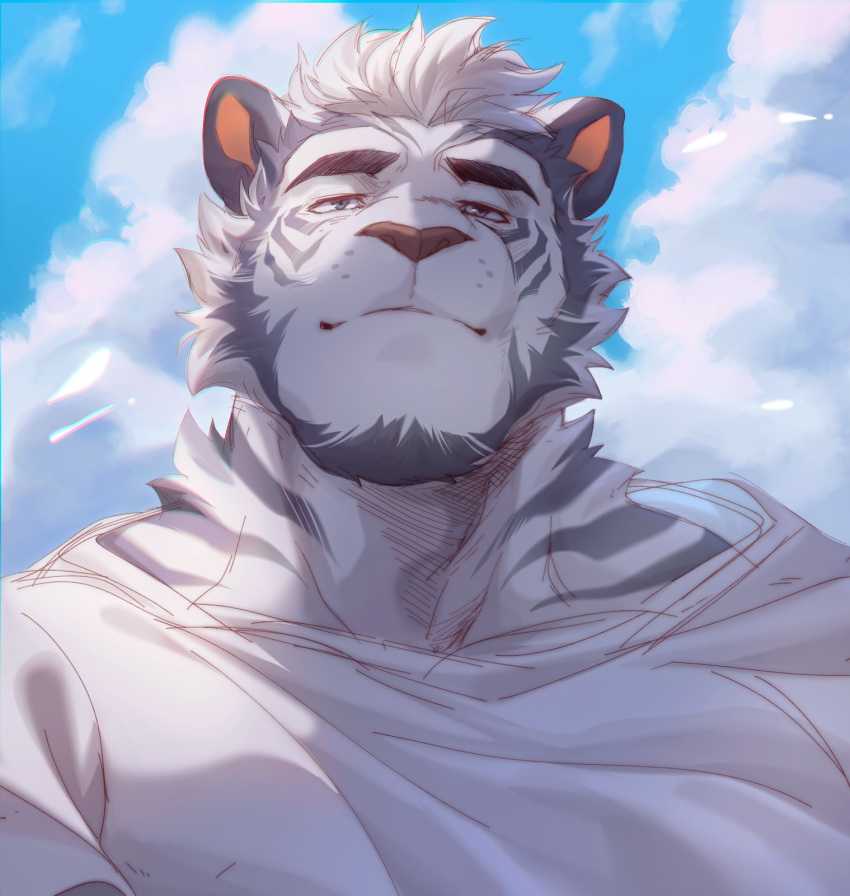 1boy animal_ears bara blue_sky cloud cloudy_sky english_commentary estper full_beard furry furry_male highres looking_ahead male_focus muscular muscular_male original shirt sky thick_eyebrows tiger_boy tiger_ears tiger_stripes white_hair white_shirt wind