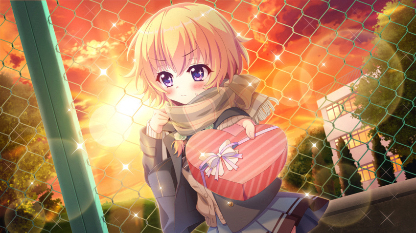 1girl averting_eyes black_coat blonde_hair blue_skirt blush box brown_cardigan building cardigan chain-link_fence closed_mouth cloud coat dot_nose dutch_angle evening fence film_grain game_cg green_scrunchie hair_ornament hair_scrunchie hasegawa_mii heart-shaped_box incoming_gift izumi_tsubasu lens_flare non-web_source official_art outdoors plaid plaid_scarf purple_eyes re:stage! scarf school_uniform scrunchie skirt solo sparkle sparkling_eyes sun tree valentine