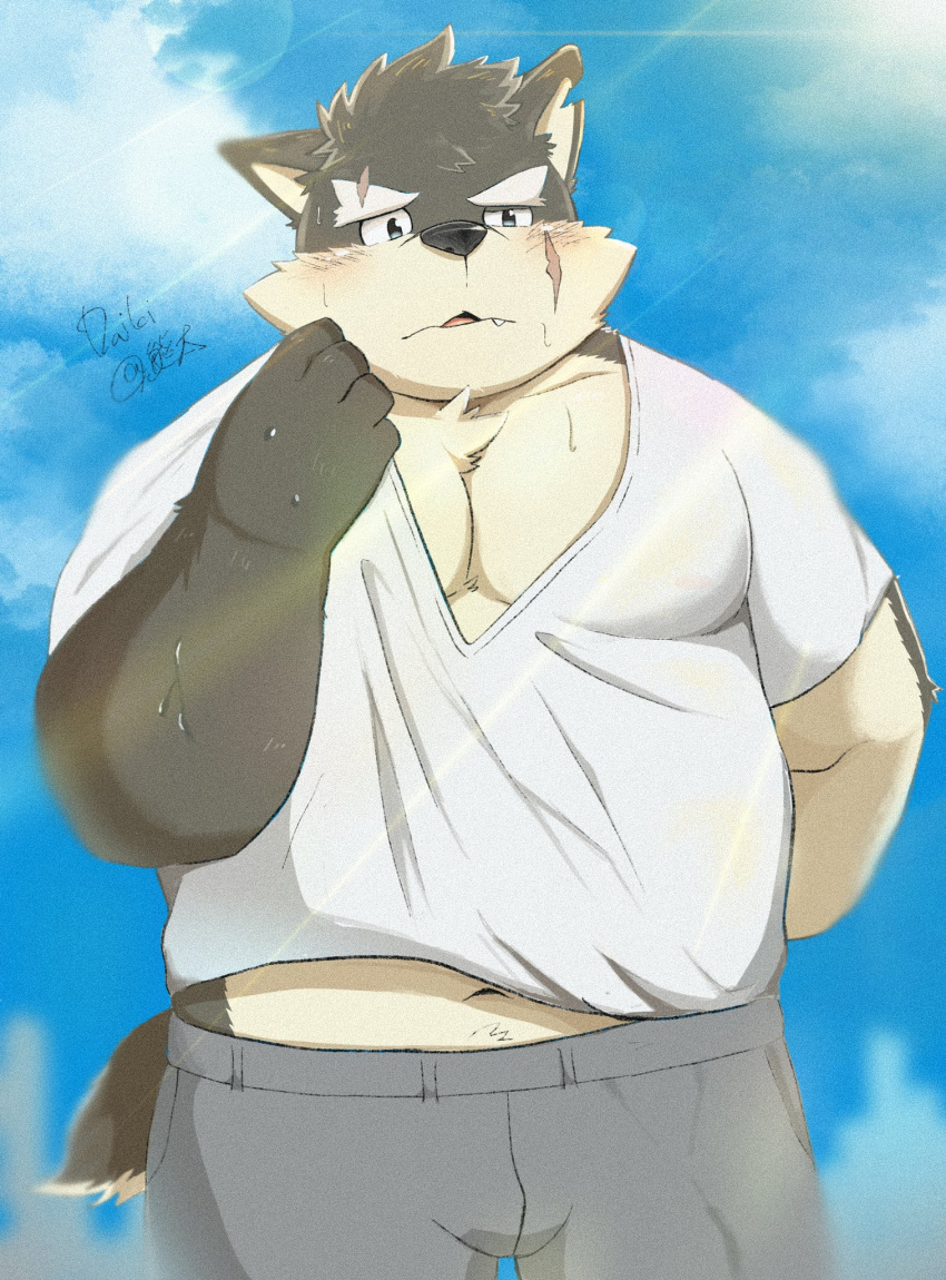 11768hoshi anthro belly blue_sky blush bodily_fluids canid canine canis clothing cloud domestic_dog eyebrows hi_res lifewonders male mammal moritaka multicolored_body notched_ear overweight overweight_male pecs scar sky solo sunny sweat sweatpants tail thick_eyebrows tokyo_afterschool_summoners topwear two_tone_body v-neck