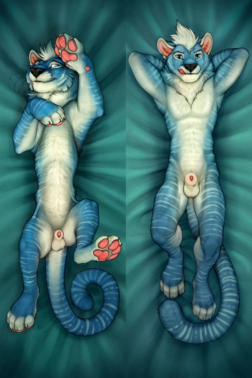 2023 anatomically_correct anatomically_correct_genitalia anchee animal_genitalia anthro athletic athletic_anthro athletic_male balls bedroom_eyes biceps bird's-eye_view black_nose blue_body blue_eyes blue_fur cheek_tuft curled_tail digital_media_(artwork) facial_tuft fangs feet felid feline_genitalia feral fluffy fur genitals hair hands_behind_head hi_res high-angle_view hindpaw inviting knees_pulled_up licking licking_lips licking_own_lips looking_at_viewer lying male mammal multiple_poses narrowed_eyes neck_tuft nude on_back open_mouth pantherine pawpads paws penis penis_tip pink_pawpads pinup pose quadruped raised_leg seductive semiceri sheath smile solo striped_body striped_fur stripes teasing teeth tiger tongue tongue_out tuft whiskers white_body white_fur