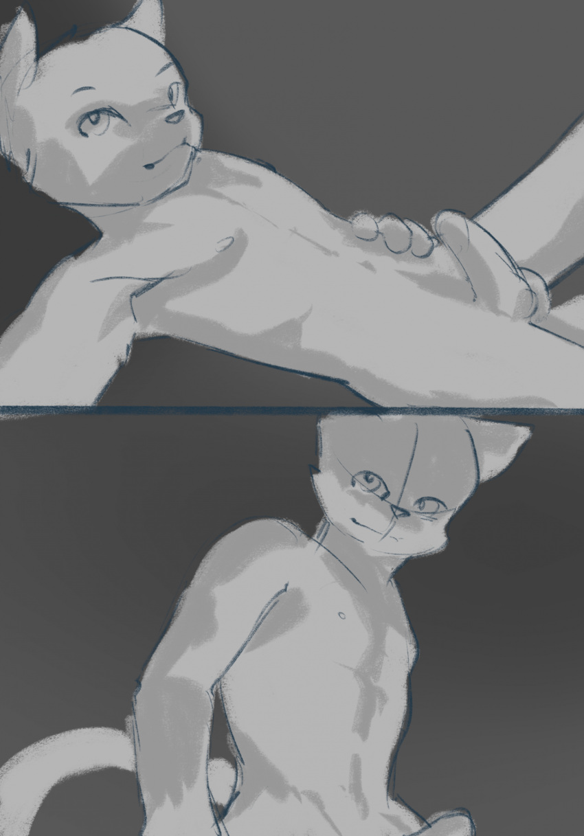 anthro balls duo genitals greyscale hi_res looking_at_viewer male male/male monochrome patreon_artist patreon_username penis sketch smile smirk smirking_at_viewer stampmats