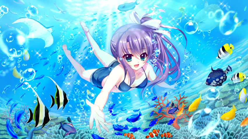 1girl bare_legs barefoot bikini bikini_shorts blue_bikini blue_eyes bow breasts bubble butterflyfish cleavage clownfish coral_reef film_grain fish fish_request game_cg hair_bow high_ponytail izumi_tsubasu long_hair looking_at_viewer manta_ray non-web_source official_art open_mouth outstretched_arm pocket purple_hair re:stage! reaching_towards_viewer school_of_fish shorts small_breasts smile solo sparkle sunlight swimming swimsuit tsukisaka_sayu underwater white_bow