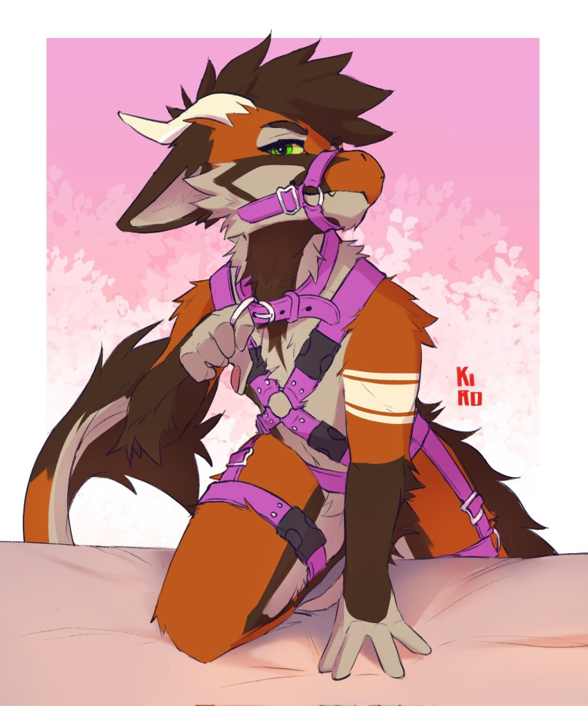 5_fingers anthro brown_body brown_fur brown_hair collar dragon fenneckiro fingers fur furred_dragon green_eyes hair harness hi_res horn justdrox looking_at_viewer male muzzle_(object) muzzled orange_body orange_fur pink_harness simple_background solo straps