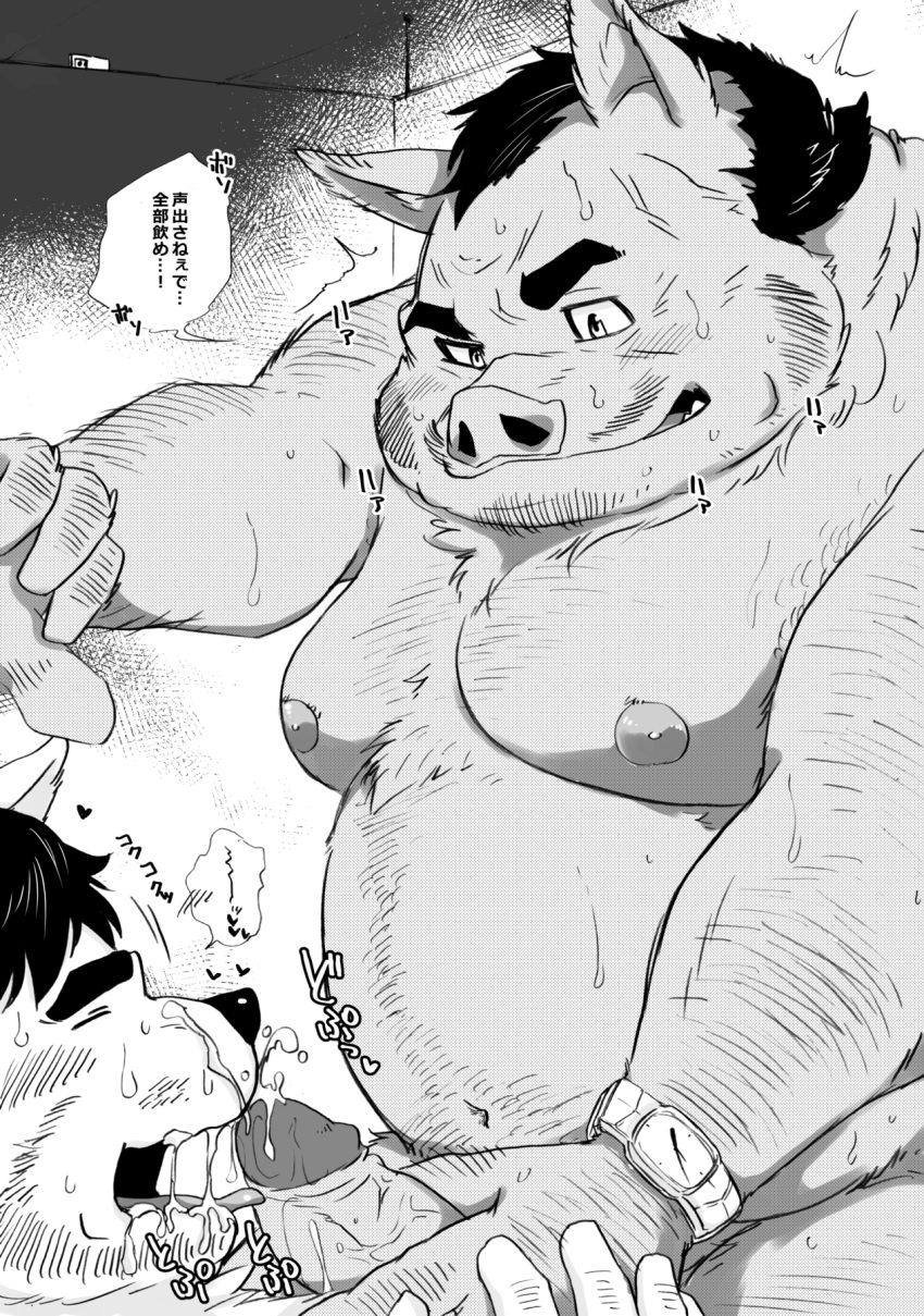 2023 anthro belly big_belly bodily_fluids cum cum_on_face duo ejaculation eyes_closed genital_fluids genitals hi_res humanoid_genitalia humanoid_hands humanoid_penis japanese_text kemono male male/male mammal moobs nipples overweight overweight_male penis shintatokoro solo_focus suid suina sus_(pig) sweat text wild_boar