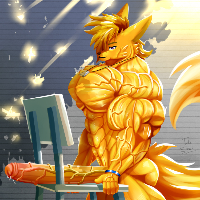 abs anthro balls big_muscles big_penis blonde_hair bodily_fluids bracelet canid canine chair dog_tags erection fennec fox fur furniture genital_fluids genitals hair hi_res huge_muscles huge_penis hyper hyper_genitalia hyper_muscles hyper_penis jewelry leaking_precum leaning_on_furniture long_penis looking_at_viewer male mammal muscular muscular_anthro muscular_male necklace nude pecs penis precum purple_eyes shadow solo taiko-sihori tail vein veiny_arms veiny_muscles veiny_penis yellow_body yellow_fur