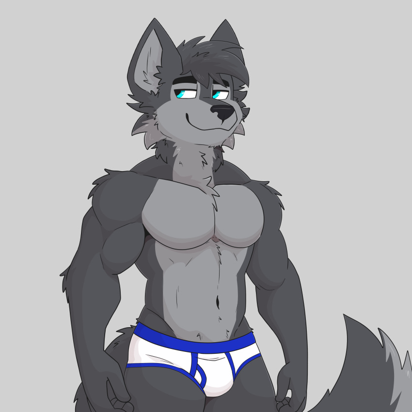abs absurd_res athletic bezzeroo blue_eyes blue_seam_briefs briefs canid canine canis clothing fur grey_body grey_fur hi_res male mammal muscular simple_background solo underwear white_briefs white_clothing white_underwear wolf zach_the_wolf