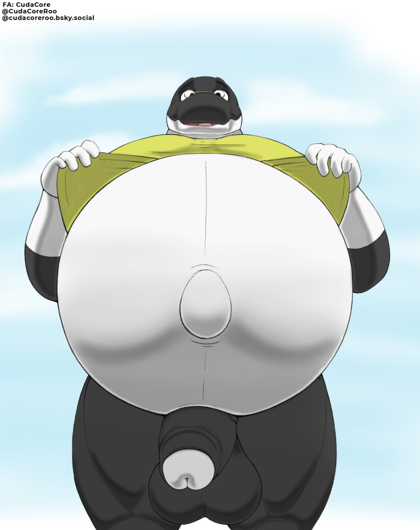 balls belly big_belly bottomless cetacean clothed clothing clothing_lift cudacore darwen dolphin erection foreskin genitals hi_res male mammal marine navel oceanic_dolphin orca outie_navel penis pregnant pregnant_male shirt shirt_lift toothed_whale topwear