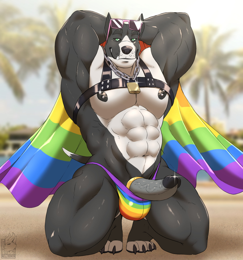 2022 abs absurd_res anthro artist_logo beach biceps black_body black_fur black_nipples canid canine canis chain claws daxx_(shirteater18) domestic_dog eyewear fur genitals green_eyes grey_penis hands_behind_head harness hi_res kneeling lgbt_history_month lgbt_pride logo male mammal multicolored_body multicolored_fur nelldemon nipple_piercing nipples nude padlocked_collar palm_tree pecs penis piercing pit_bull plant pride_colors rainbow_flag rainbow_pride_flag rainbow_symbol sand seaside solo sunglasses toe_claws tree triceps vein veiny_penis white_body white_fur