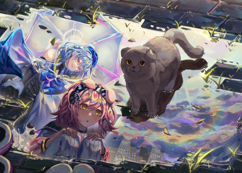 1boy 1girl animal_ears arknights bare_shoulders black_hairband blue_bow blue_hair blue_headwear blush bow cat cat_ears closed_mouth day gloves goldenglow_(arknights) grey_cat hairband highres holding holding_umbrella kikan_(kikanoe) lightning_bolt_print long_hair long_sleeves mizuki_(arknights) outdoors parted_lips pink_hair puddle red_eyes reflection scottish_fold smile squatting thighhighs transparent transparent_umbrella umbrella water weeds white_gloves white_thighhighs yellow_eyes
