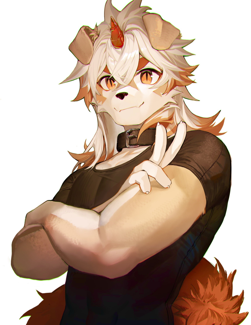 1boy absurdres animal_ears arknights black_shirt brown_fur casual clay_(clayjun) crossed_arms dog_boy dog_ears furry furry_male highres horns hung_(arknights) medium_hair multicolored_hair muscular muscular_male orange_eyes orange_hair pectorals shirt single_horn solo streaked_hair tight tight_shirt two-tone_fur upper_body v white_fur white_hair