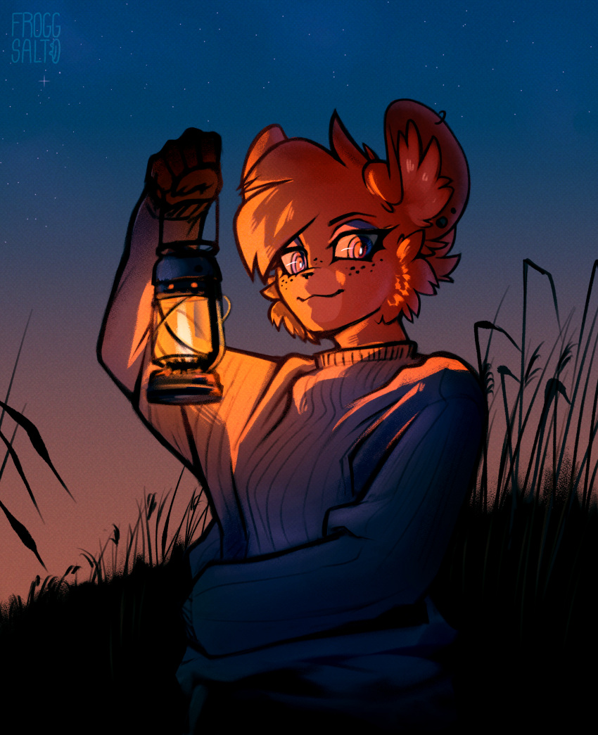 anthro camping chinchilla chinchillid clothing dusk fan_character female field froggsalt hi_res lamp lantern light lighting mammal outside rodent smug solo sunset sweater topwear twilight