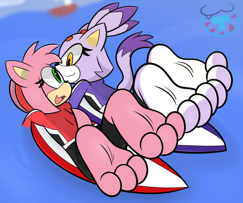 3_toes absurd_res amy_rose anthro barefoot blaze_the_cat domestic_cat duo eulipotyphlan feet felid feline felis female hedgehog hi_res mammal mintytempest sega soles sonic_the_hedgehog_(series) surfboard surfing toes