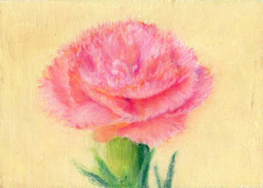 amima_amita branch flower highres no_humans original painting_(medium) pastel_(medium) pink_flower plant realistic still_life traditional_media