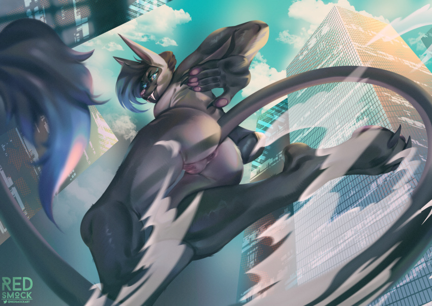 accessory acrador anthro anus blue_eyes blue_hair breasts building butt butt_focus butt_pose canid canine canis city city_background cityscape claws detailed_background digital_media_(artwork) fangs feet female fingers fur genitals grey_body hair hi_res jackal long_ears long_tail looking_at_viewer looking_down low-angle_view mammal multicolored_hair neon neon_lights nude outside pose pussy rear_view redsmock running sky smile solo solo_focus sunset tail teeth toes town two_tone_hair widescreen worm's-eye_view