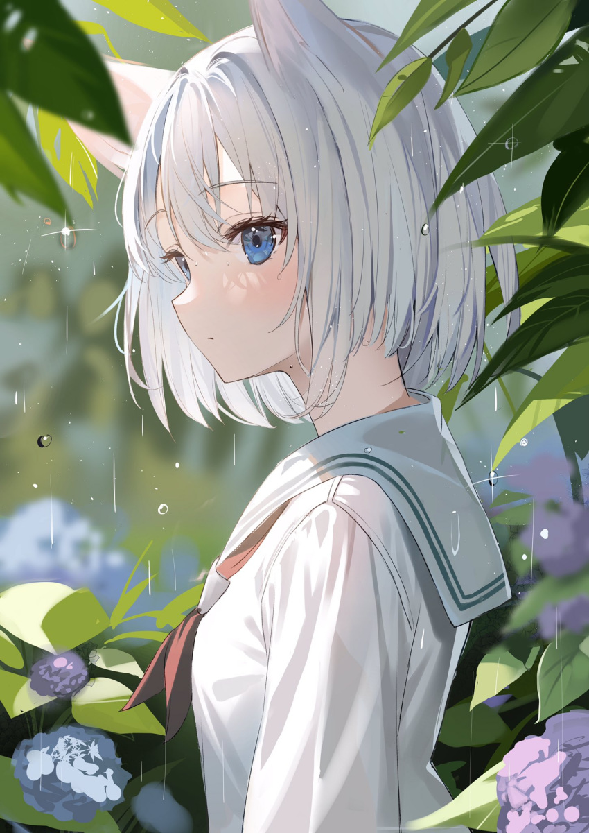 1girl animal_ears aroa_(aroamoyasi) blue_eyes blue_flower blurry depth_of_field expressionless flower from_side grey_hair hair_between_eyes hair_intakes highres leaf looking_to_the_side neckerchief original plant purple_flower rain red_neckerchief sailor_collar school_uniform serafuku shirt short_hair sidelocks upper_body wet white_hair white_sailor_collar white_shirt