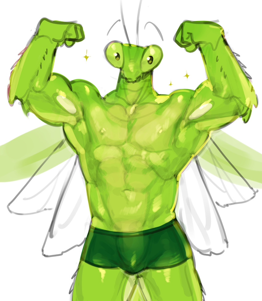 2023 abs absurd_res antennae_(anatomy) anthro areola arthropod bulge clothed clothing digital_media_(artwork) eyebrows green_body hi_res insect insect_wings kogito looking_at_viewer male mantis muscular muscular_anthro muscular_male navel nipples non-mammal_nipples pecs simple_background solo sparkles underwear underwear_only white_background wings