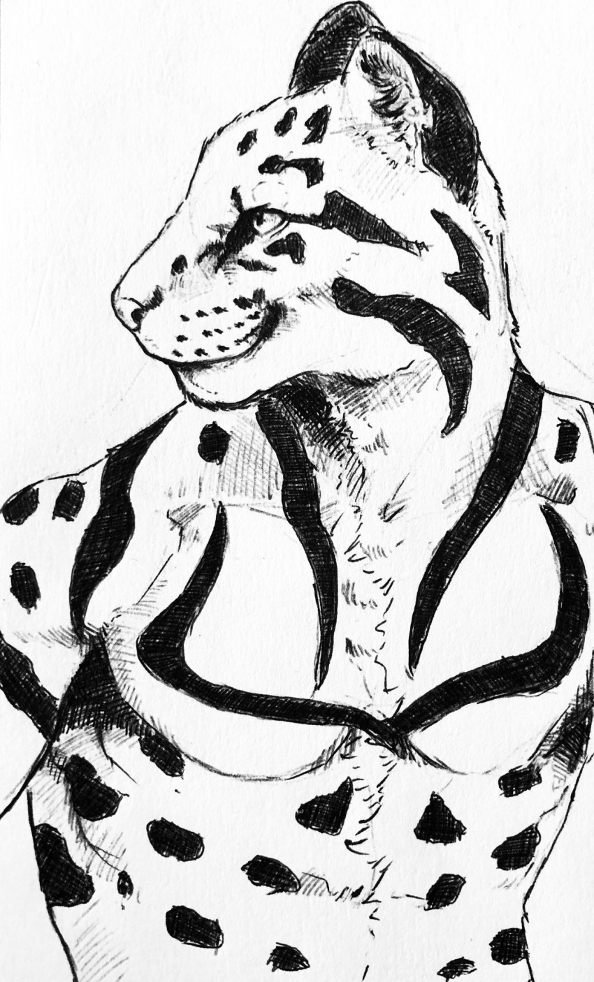 anthro black_and_white cross-hatching domestic_cat felid feline felis hatching_(art) hi_res leopardus lupesilverwind male mammal monochrome ocelot paper pen_and_ink shaded shirtless_male solo whisker_spots