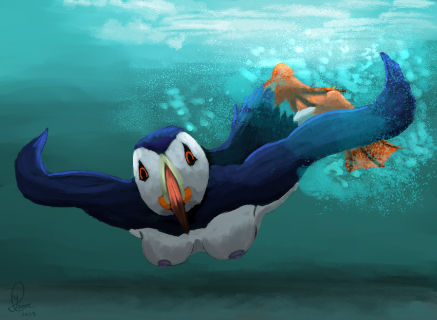 alcid anthro avian bird birdtember breasts bubble diving female hi_res lari membrane_(anatomy) nipples puffin sea solo underwater water webbed_feet wings yenocwolf