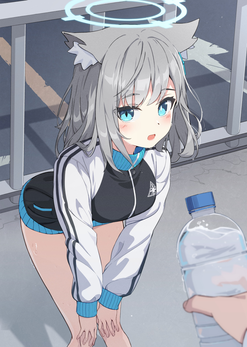 1girl absurdres animal_ear_fluff animal_ears black_jacket blue_archive blue_eyes blue_halo blush bottle breasts commentary grey_hair halo hands_on_own_knees highres holding holding_bottle jacket leaning_forward long_sleeves looking_at_viewer medium_breasts medium_hair mismatched_pupils multicolored_clothes multicolored_jacket open_mouth pov pov_hands seero shiroko_(blue_archive) solo sweat track_jacket two-tone_jacket water_bottle white_jacket wolf_ears