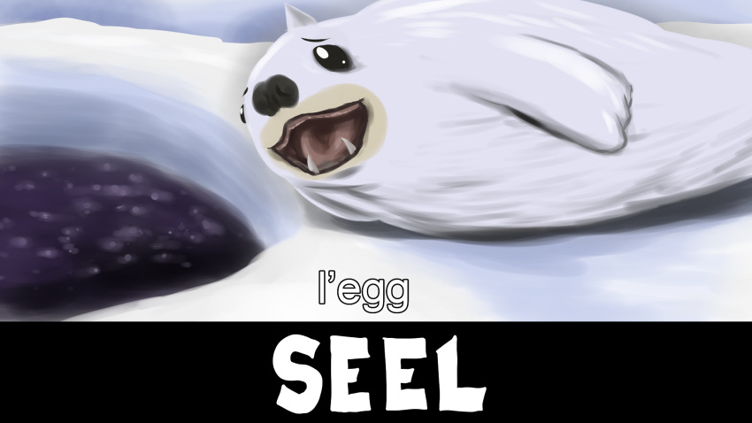 16:9 2020 ambiguous_gender black_eyes colored dialogue digital_drawing_(artwork) digital_media_(artwork) english_text ergomancy feral fur generation_1_pokemon hi_res ice looking_at_viewer mammal marine nintendo open_mouth pokemon pokemon_(species) seel shaded solo species_name teeth text tongue water white_text widescreen