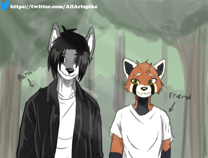 ailurid anthro black_hair black_nose canid canine canis duo fur grey_body grey_fur hair hi_res male mammal red_panda spike_(spikethefurry) spike_the_furry white_body white_fur wolf wreckie