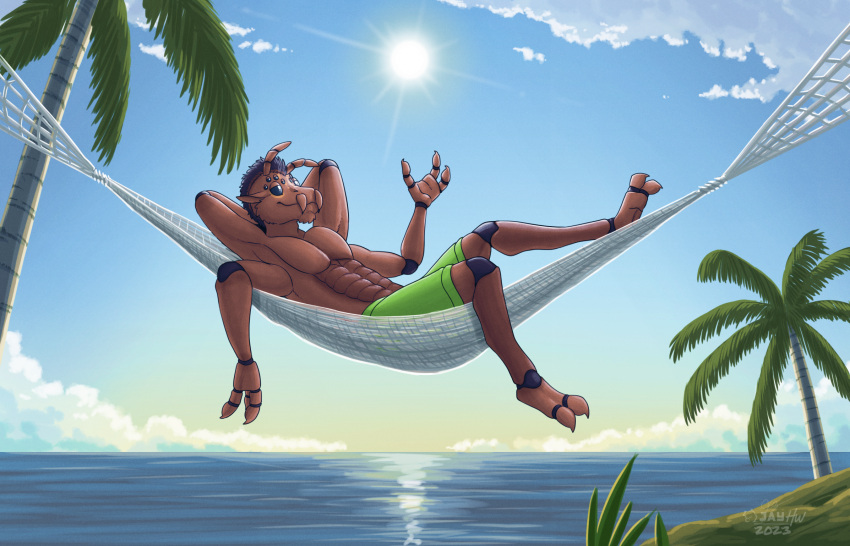 2023 2_toes 3_fingers abs antennae_(anatomy) anthro arachnid arthropod artist_logo beach black_eyes black_hair blue_sky brown_body brown_fur cheek_tuft chin_tuft clothing detailed_background facial_tuft fangs feet fingers fur gradient_sky green_clothing green_swimming_trunks green_swimwear hair half-closed_eyes hammock hands_behind_head hi_res logo lying male mohawk multi_eye multi_limb narrowed_eyes on_back palm_tree plant raised_hand sammfeatblueheart sand sea seaside shaded shrub signature sky solid_eyes solo spider spider_web sun swimming_trunks swimwear swimwear_only teeth toes tree tuft water white_clouds yellow_sky