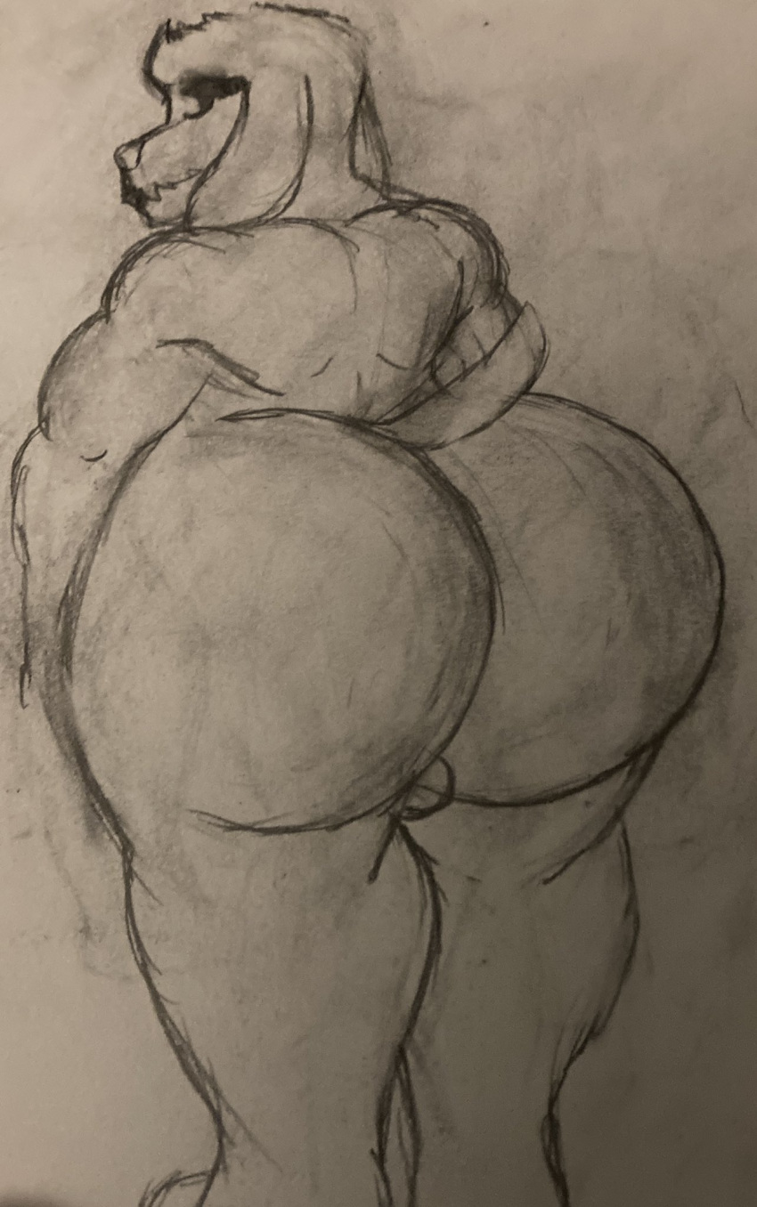 anthro balls big_butt butt canid canine dogamy fur genitals hi_res huge_butt looking_at_viewer looking_back male mammal muscular muscular_male presenting presenting_hindquarters sbeve_wagon solo thick_thighs undertale undertale_(series) white_body white_fur wide_hips