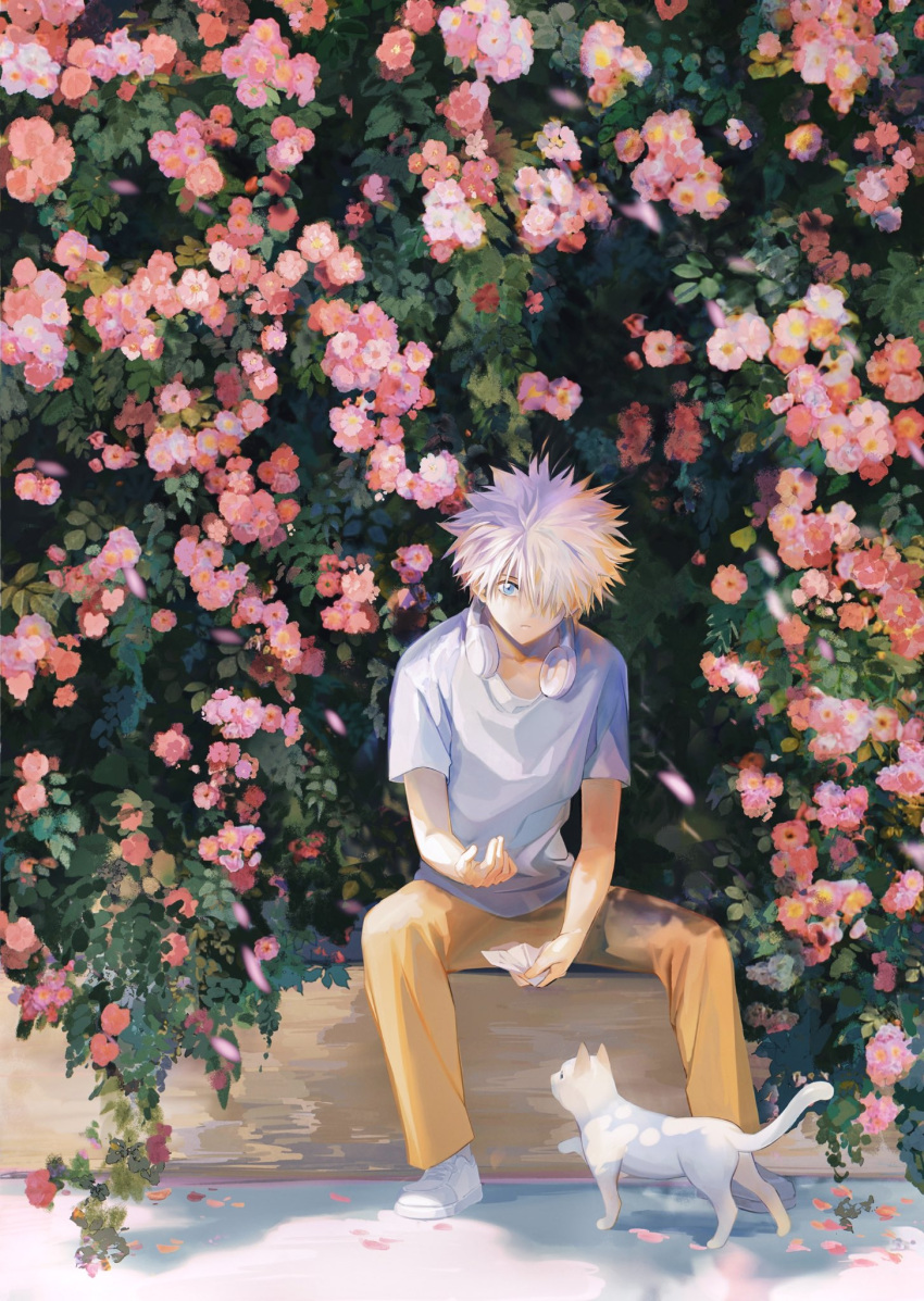 1boy :| blue_eyes cat closed_mouth day expressionless feeding flower full_body hair_over_one_eye headphones headphones_around_neck highres hunter_x_hunter k.g_(matsumoto_zo) killua_zoldyck looking_at_viewer male_focus orange_pants outdoors pants pink_flower shadow shirt short_hair sitting solo spiked_hair spread_legs white_cat white_hair white_shirt