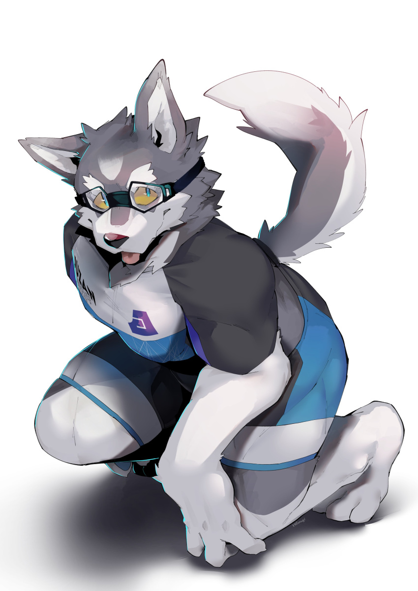 absurd_res anthro athletic_wear barefoot blep blue_clothing blue_eyes bottomwear canid canine canis clothing domestic_dog eyewear feet fur goggles grey_body grey_clothing grey_fur hi_res husky logo_on_clothing logo_on_shirt male mammal multicolored_clothing multicolored_tail muscular nordic_sled_dog rollmugi scales shirt shorts solo spitz tail tongue tongue_out topwear white_body white_clothing white_fur yellow_body yellow_scales