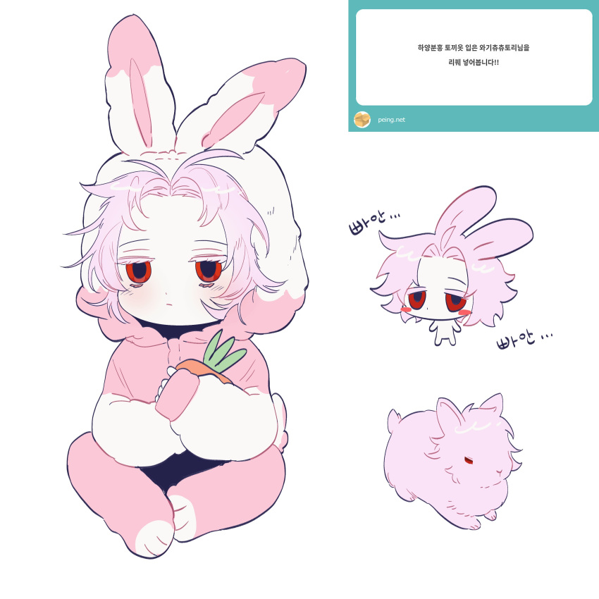 1boy absurdres aged_down animal_ears animalization blush_stickers carrot chibi closed_eyes colored_eyelashes commentary_request cosplay expressionless hatsutori_hajime highres jjeom kemonomimi_mode kigurumi korean_commentary korean_text male_focus multiple_views pale_skin parted_bangs pink_hair rabbit rabbit_boy rabbit_ears red_eyes saibou_shinkyoku short_hair simple_background sitting sleeves_past_wrists translation_request white_background