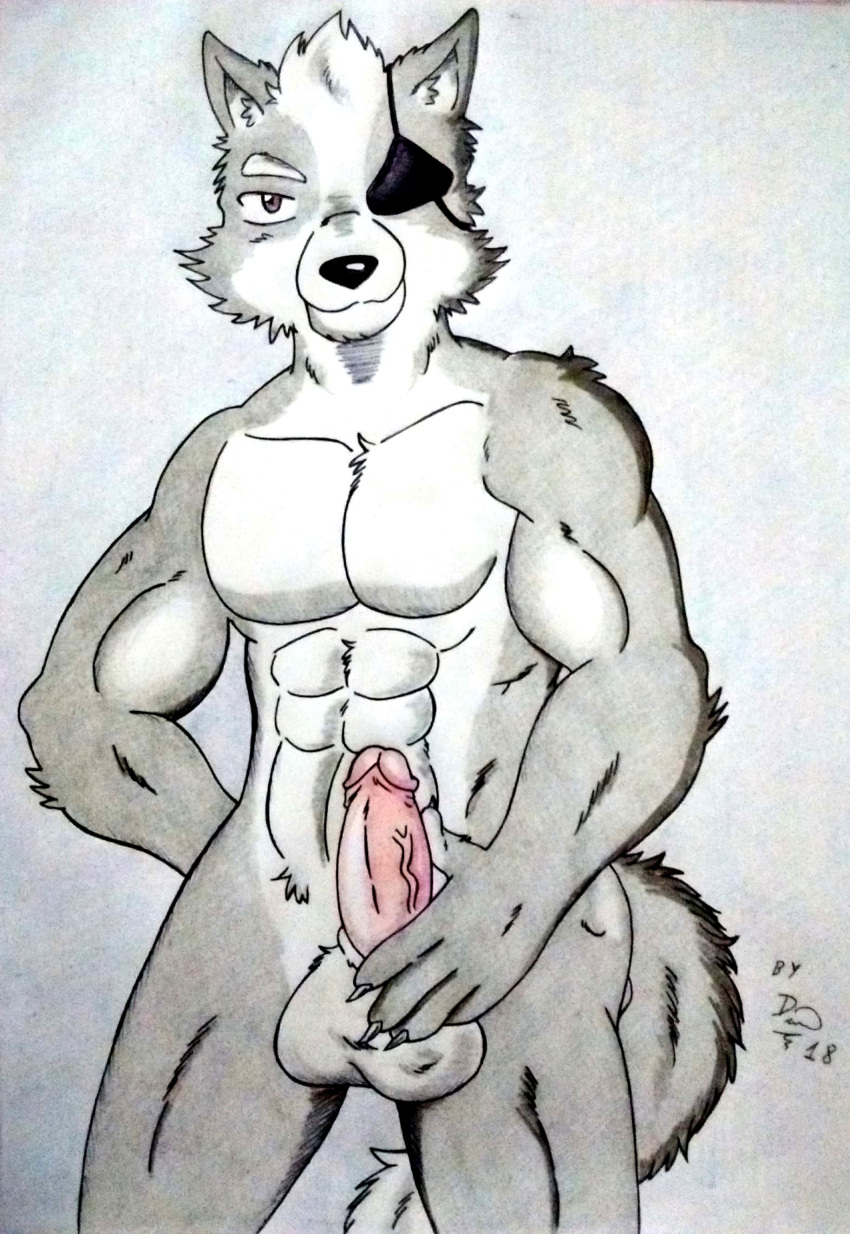 abs absurd_res anthro arm_tuft balls black_nose brown_eyes canid canine canis dashthefox eye_patch eyewear fur genitals grey_body grey_fur hi_res male mammal manly muscular nintendo nude nude_anthro nude_male obliques pecs penis pink_penis seductive simple_background solo star_fox touching_penis traditional_media_(artwork) tuft vein veiny_penis wolf wolf_o'donnell