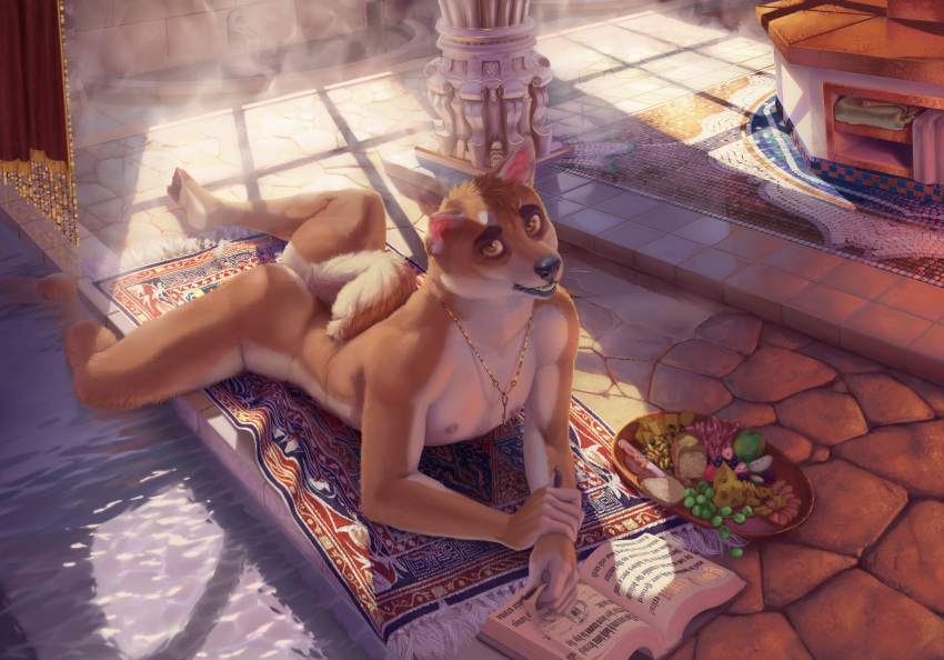 anthro bath bathhouse book canid canine canis curled_tail domestic_dog food fuzzle_(artist) hi_res lying male mammal on_front public public_nudity rags_(youtuber) reading reading_book sauna shiba_inu solo spitz tail