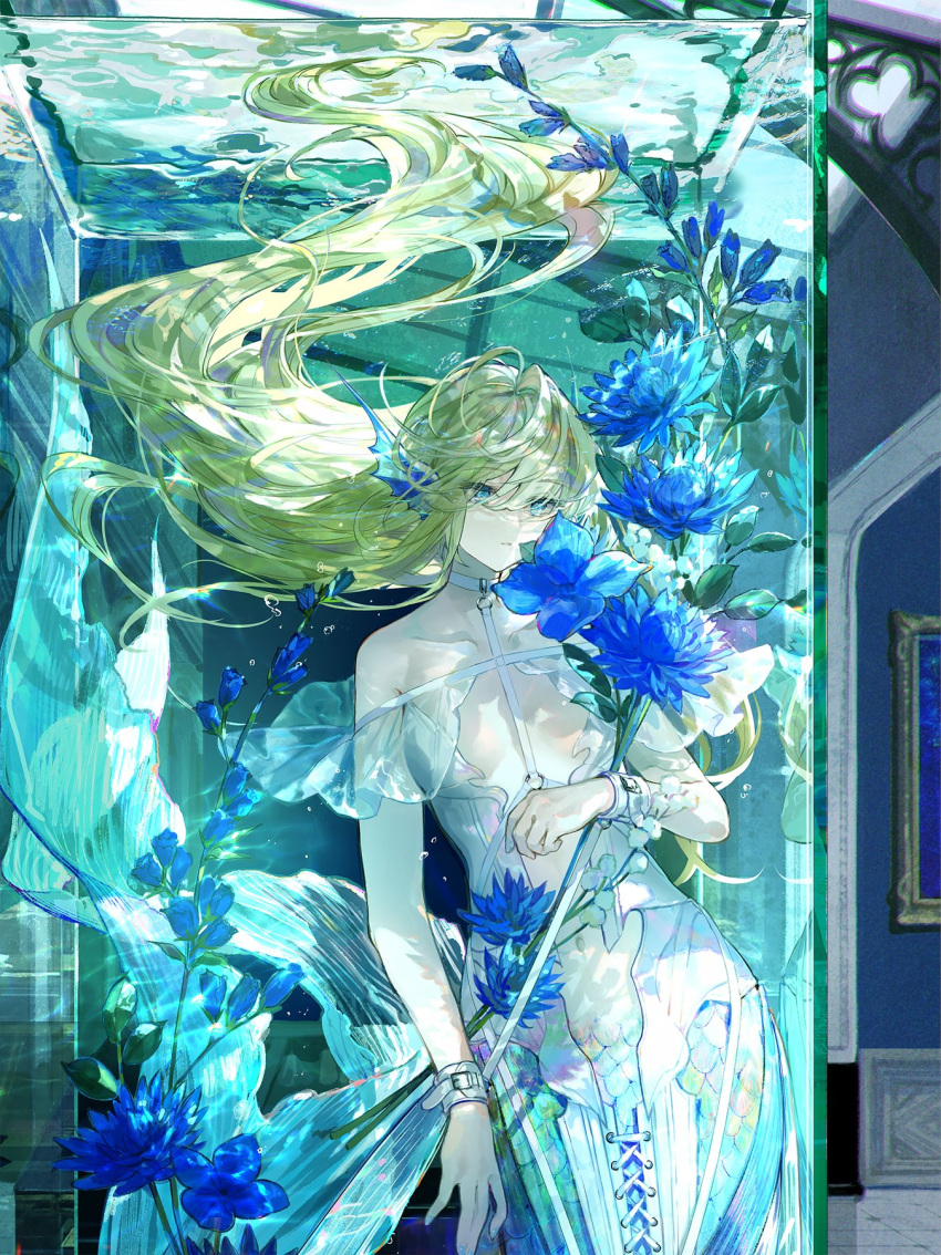 1girl arch blue_flower dress fins fish_tail floating_hair flower frilled_dress frills fuzichoco glass_ceiling green_hair head_fins highres holding holding_flower indoors long_hair mermaid monster_girl original picture_frame plant plunging_neckline restraints scales solo swept_bangs tail underwater very_long_hair water_tank white_dress wrist_cuffs