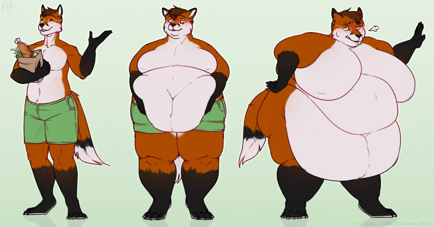 anthro aucherr belly_grab belly_overhang big_butt blush bottomwear breath_cloud butt canid canine clothing deep_navel embarrassed eyewear fat_arms fit_to_fat fondling fox glasses hi_res huge_belly huge_moobs male mammal morbidly_obese morbidly_obese_anthro morbidly_obese_male navel obese obese_anthro obese_male out_of_breath overweight overweight_anthro overweight_male self_fondle sequence shorts solo thick_thighs weight_gain