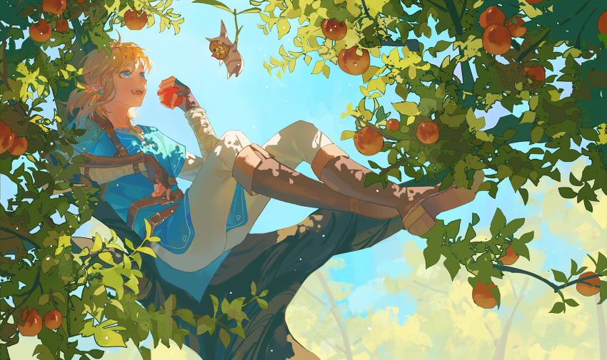 7pzhxtsy apple blue_eyes blue_sky blue_tunic boots brown_pants earrings eating fingerless_gloves food fruit gauntlets gloves highres holding holding_food holding_fruit in_tree jewelry korok leather leather_boots light_brown_hair link pants pointy_ears short_hair sidelocks sitting sitting_in_tree sky smile the_legend_of_zelda the_legend_of_zelda:_breath_of_the_wild tree