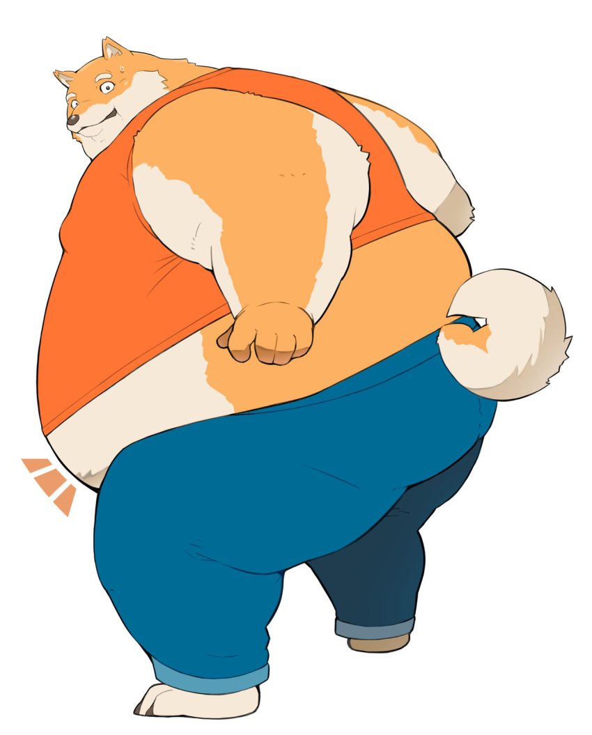 anthro belly big_belly bodily_fluids butt canid canine canis claws clothed clothing domestic_dog fur hi_res looking_back male mammal marcoisky obese obese_anthro obese_male overweight overweight_anthro overweight_male rear_view shiba_inu simple_background solo spitz standing sweat sweatdrop tan_body tan_fur toe_claws white_background