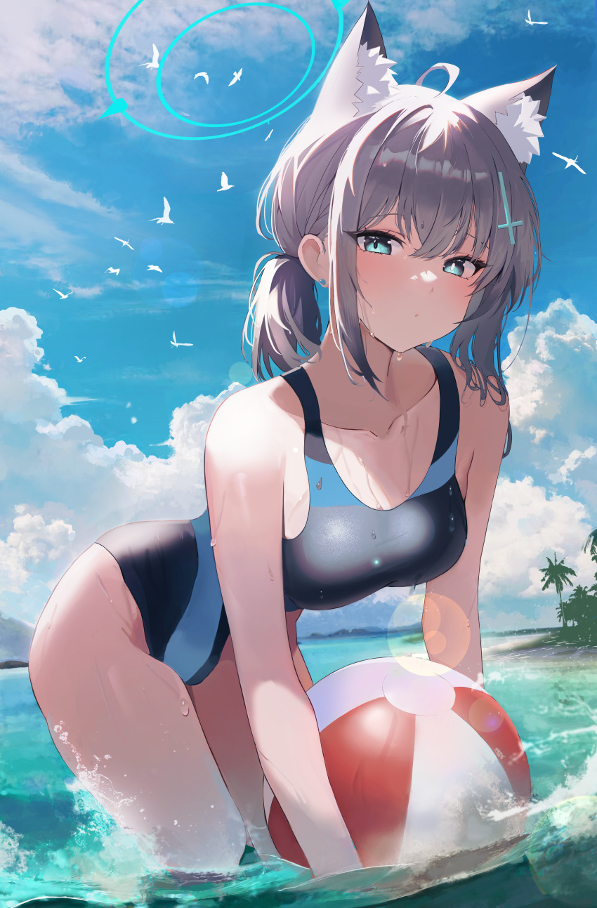 1girl absurdres animal_ears ball bird blue_archive blue_eyes blue_sky breasts cloud collarbone cross_hair_ornament grey_hair hair_ornament halo highleg highres mechanical_halo n8_(buse1601) ocean one-piece_swimsuit outdoors palm_tree ponytail shiroko_(blue_archive) shiroko_(swimsuit)_(blue_archive) sky standing swimsuit tree wet