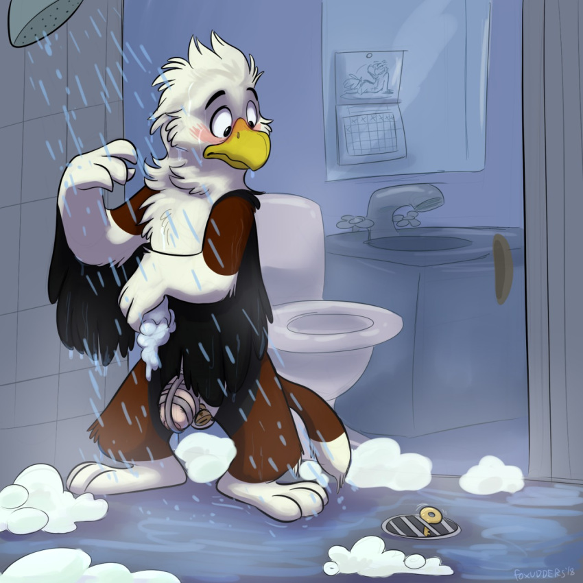 2018 3_toes 4_fingers accipitrid accipitriform anthro artist_name avian balls bathing bathroom beak bird black_wings blush brown_arms brown_legs brown_tail calendar chastity_cage chastity_device chastity_key digital_media_(artwork) dripping_water eagle feathered_wings feathers feet fingers fluffy fur genitals hi_res humanoid_genitalia humanoid_penis inside key key_disposal lock looking_at_object looking_down male neck_tuft nude orlandofox padlock penis permanent_chastity_device shower shower_drain shower_head showering sink soap_bubbles solo standing steam tail tile tile_wall toes toilet tuft wall_(structure) water_drop wet wet_body wet_fur white_body white_hands white_tail_tip wide_eyed wings worried worried_look