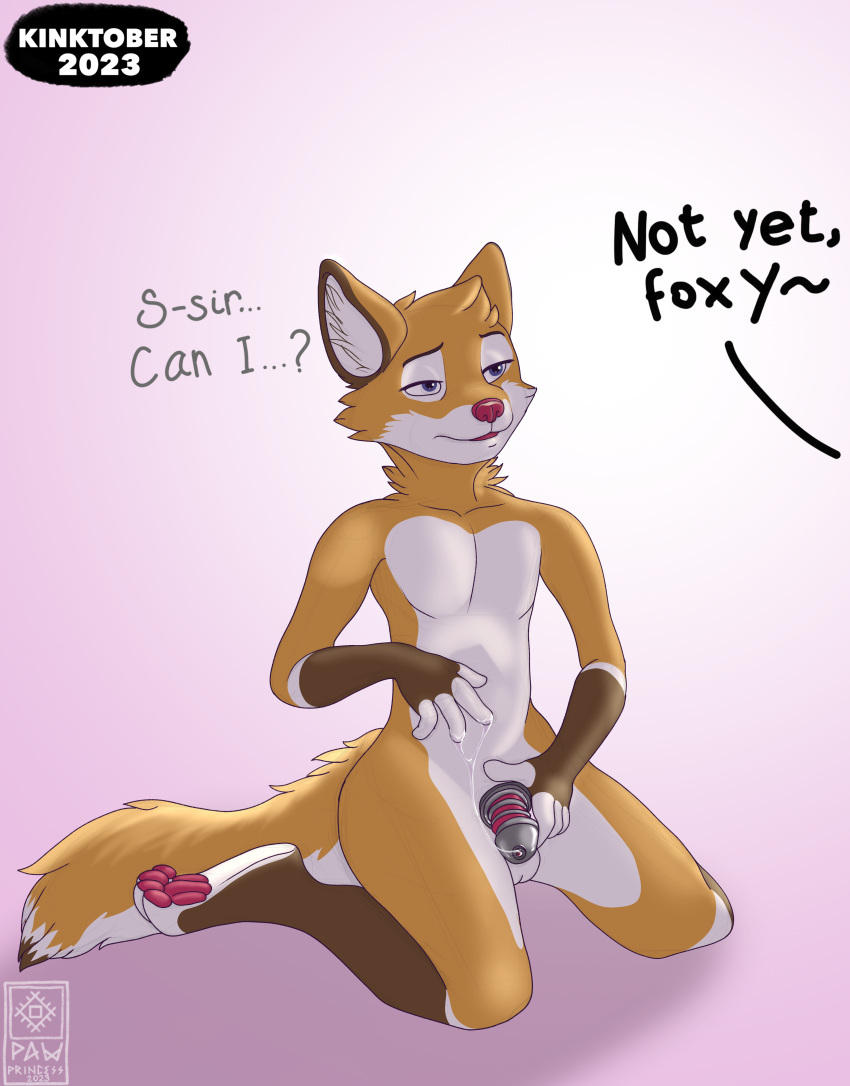 absurd_res canid canine chastity_cage chastity_device fox fur hi_res inktober inktober2023 inktoberchallenge male mammal orgasm_denial pawprincess red_body red_fox red_fur white_body white_fur