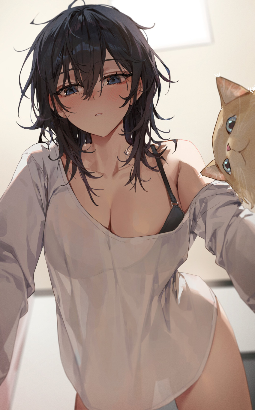 1girl absurdres black_bra black_hair blue_eyes blush bottomless bra breasts cat cleavage from_below hair_between_eyes highres kellymonica02 large_breasts looking_at_viewer medium_hair off_shoulder original oversized_clothes see-through_silhouette shirt solo underwear white_shirt