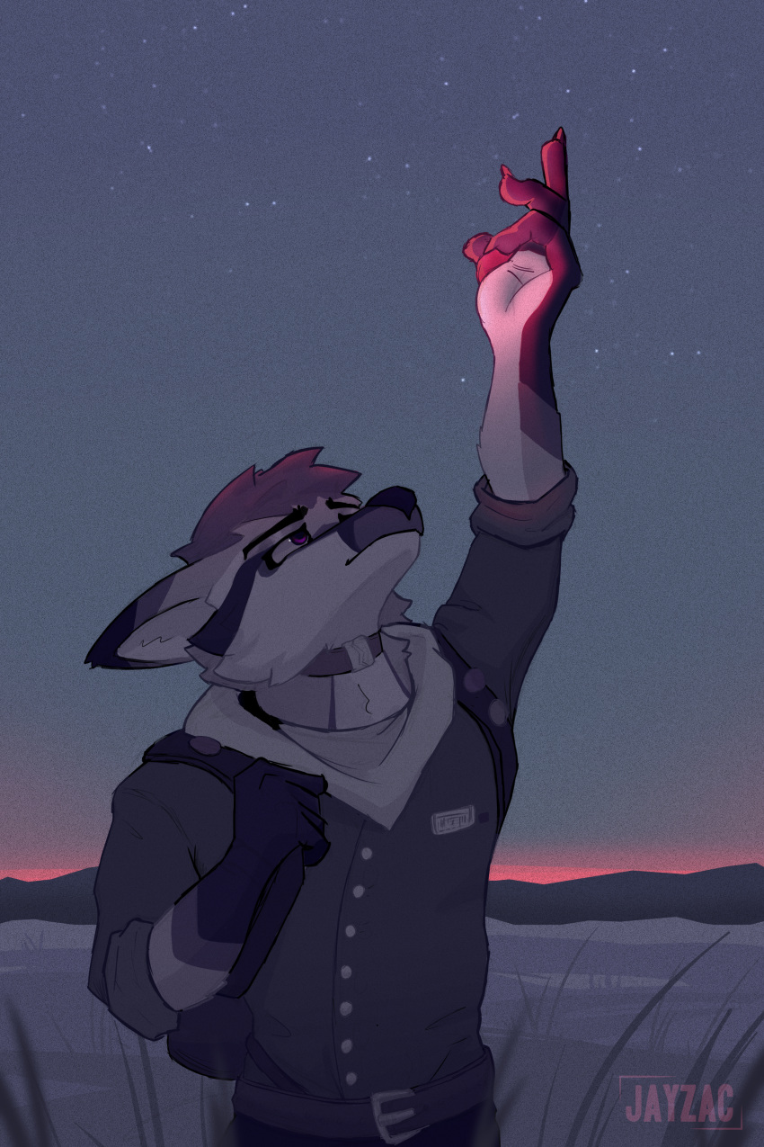 absurd_res canid canine desert fox gz_draws hi_res landscape male mammal night purple_eyes red_light simple_background sky solo zachary_(gzdraws)