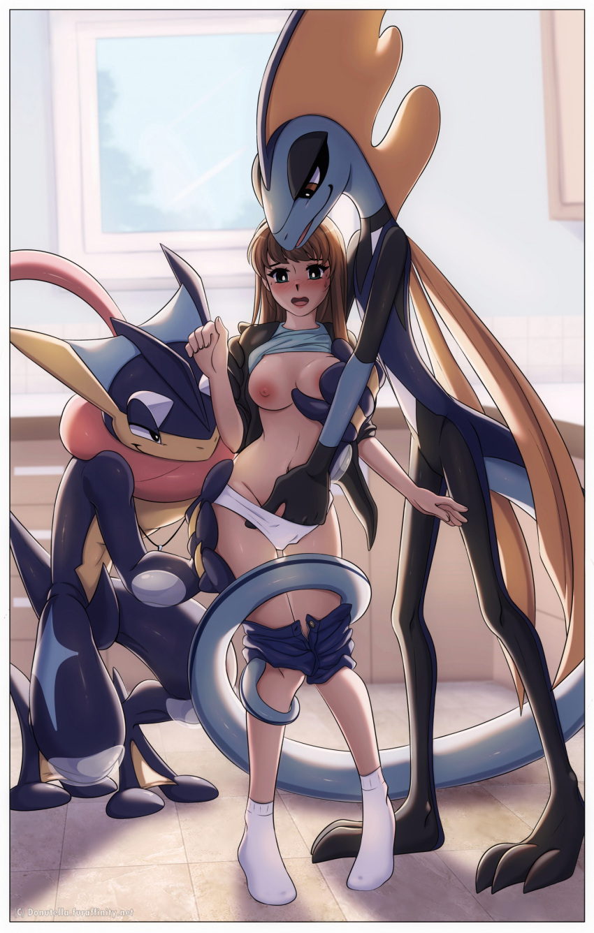 absurd_res amphibian anthro blue_body blue_scales breast_grab breasts brown_hair clothing donutella female generation_6_pokemon generation_8_pokemon greninja group hair hand_in_panties hand_in_underwear hand_on_breast hi_res human human_on_anthro inside inteleon interspecies kitchen male male/female mammal nintendo nude panties pokemon pokemon_(species) pokephilia pseudo_clothing pseudo_scarf reptile scales scalie sex tongue tongue_out tongue_scarf trio underwear