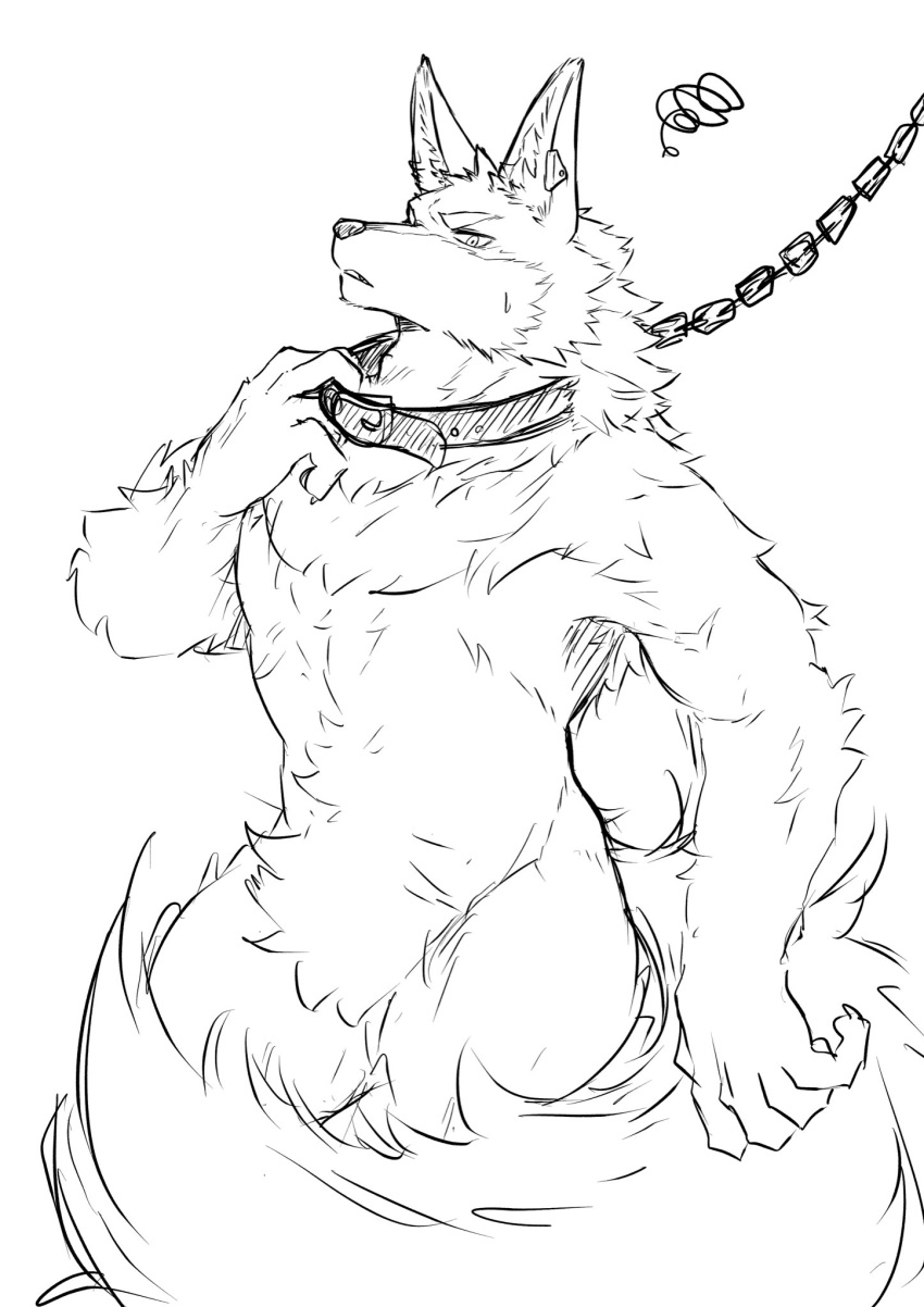 2023 5_fingers annoyed anthro arm_tuft big_tail biped black_and_white canid canine canis cheek_tuft collar collar_only collar_pull crotch_tuft digital_drawing_(artwork) digital_media_(artwork) ear_piercing elbow_tuft facial_tuft fingers fluffy front_view fur hi_res humanoid_hands inner_ear_fluff ioenami88 kemono leash leashed_collar male mammal monochrome monotone_body monotone_ears monotone_fur monotone_tail muscular muscular_anthro muscular_male naturally_censored nude piercing portrait simple_background snout solo standing tail three-quarter_portrait three-quarter_view tuft white_background white_body white_fur wolf