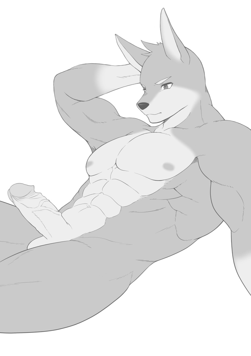 abs anthro balls biceps canid canine canis casual_erection casual_nudity dobermann domestic_dog erection fur genitals hi_res humanoid_genitalia humanoid_hands humanoid_penis ioenami88 male mammal manly muscular muscular_anthro muscular_male nipples nude pecs penis pinscher simple_background solo solo_focus