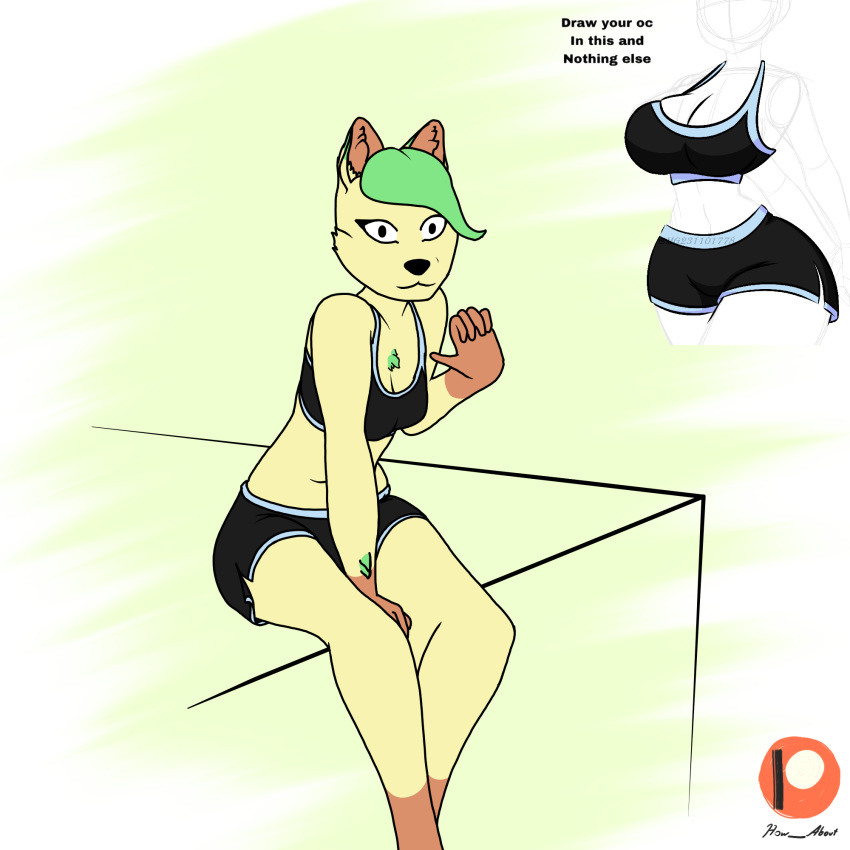 anthro black_bottomwear black_bra black_clothing black_shorts black_underwear bottomwear bra brown_body brown_fur chest_tuft clothed clothing dangling_legs draw_your_ocs_in_this_challenge eeveelution female fur generation_4_pokemon green_hair gym_bottomwear gym_clothing gym_shorts hair hi_res how-about leaf leaf_hair leafeon looking_at_viewer nintendo plant plant_hair pokemon pokemon_(species) pseudo_hair rayda_(how-about) shorts sitting skimpy smile solo sports_bra sportswear tuft underwear yellow_body yellow_fur