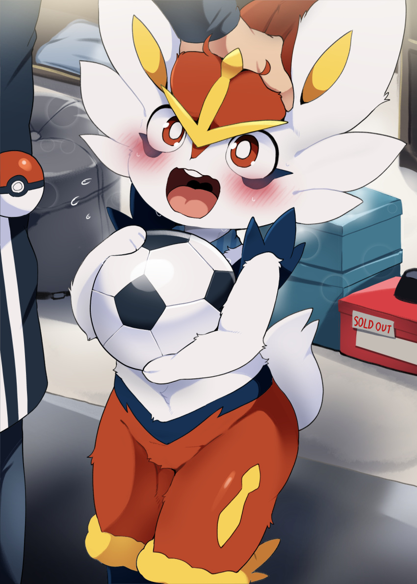 2023 ambiguous_gender anthro ball blush cinderace dagasi digital_media_(artwork) duo english_text fingers fur generation_1_pokemon generation_8_pokemon hi_res mammal nintendo open_mouth outside pikachu pokemon pokemon_(species) soccer_ball solo_focus text young